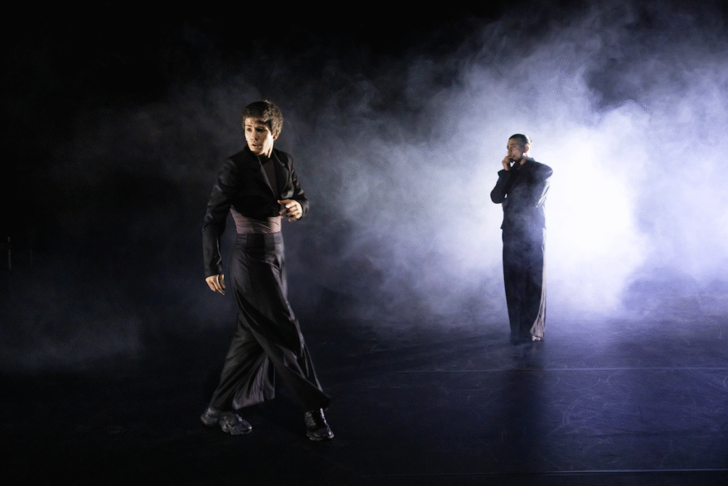 Photo du spectacle Chasing Butterflies de Majeko.